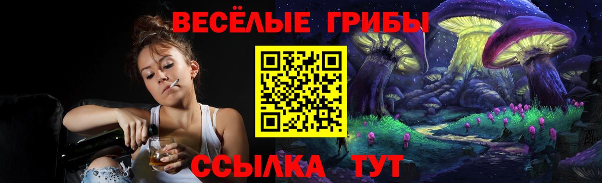 Псилоцибиновые грибы мицелий  Вход с VPN  наркошоп  Нальчик 